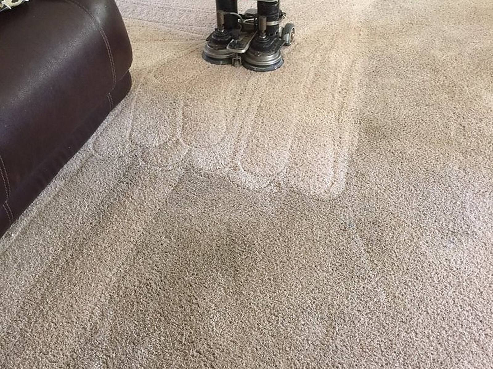 A rotary cleaning head at the edge of a beige carpet with overlapping scalloped passes behind it