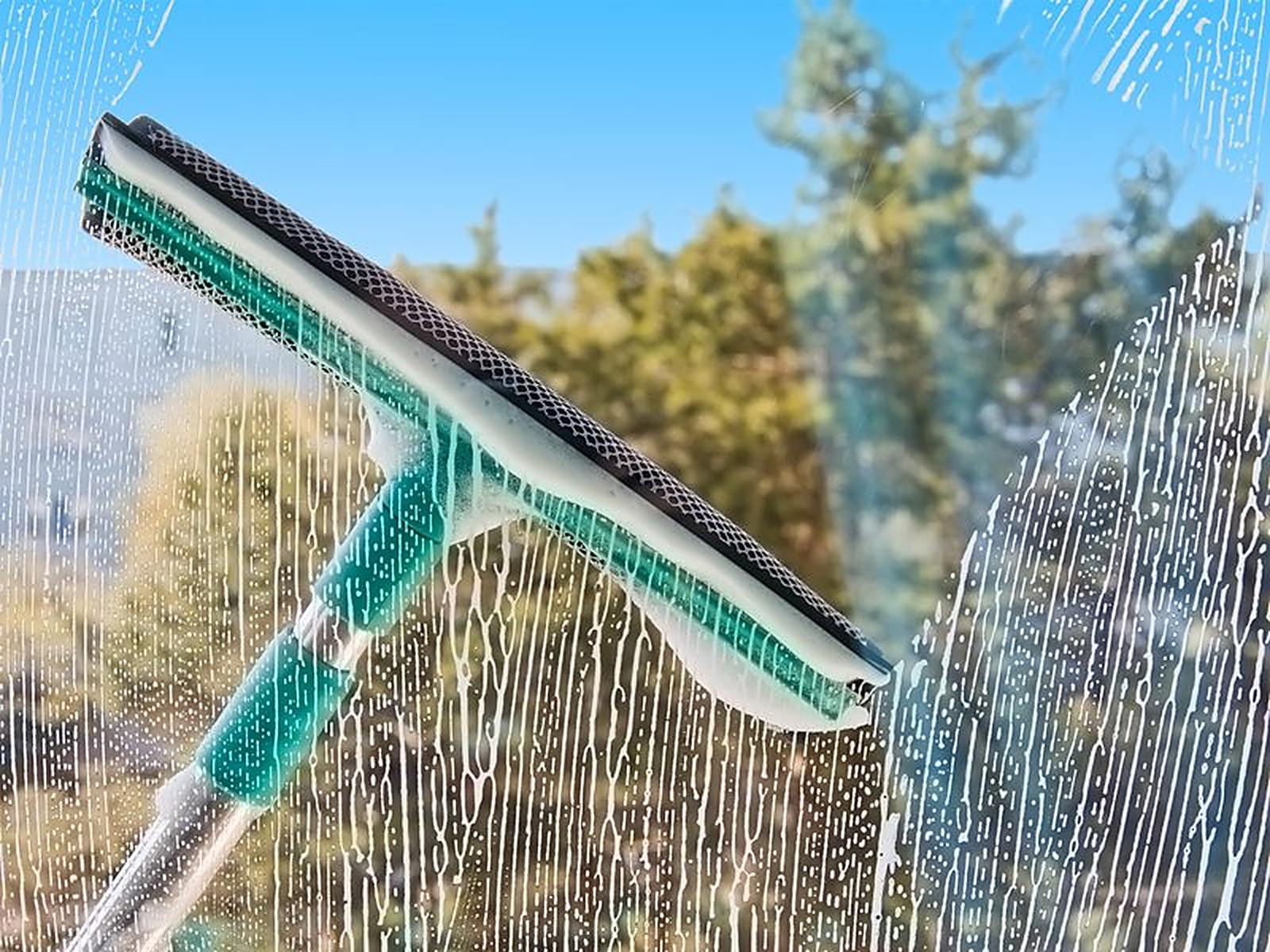 A squeegee pulled down a soaped window pane, trees behind the glass
