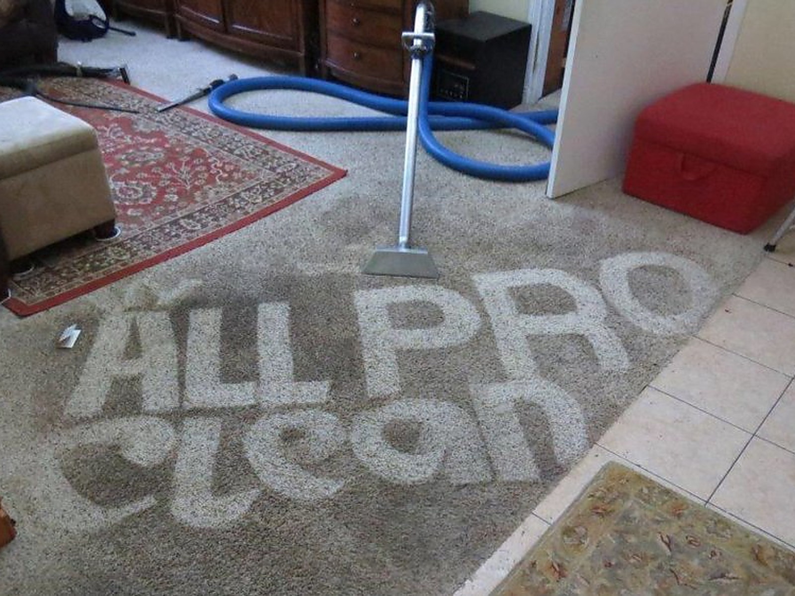 The words ALL PRO CLEAN groomed into a carpet with the wand standing in the middle